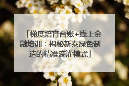 梯度培育台账+线上金融培训：揭秘新泰绿色制造的精准滴灌模式