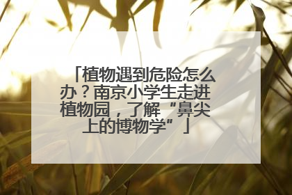植物遇到危险怎么办？南京小学生走进植物园，了解“鼻尖上的博物学”