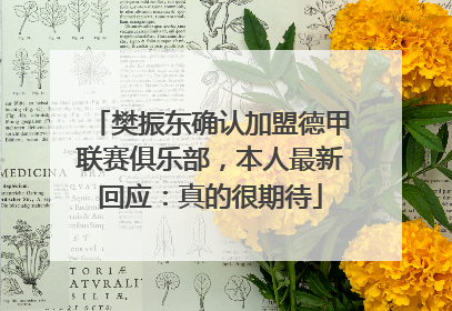樊振东确认加盟德甲联赛俱乐部，本人最新回应：真的很期待