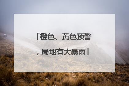 橙色、黄色预警，局地有大暴雨