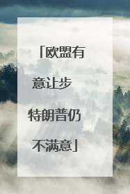 欧盟有意让步 特朗普仍不满意