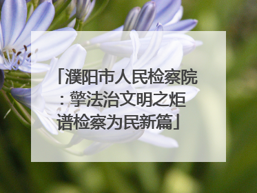濮阳市人民检察院：擎法治文明之炬 谱检察为民新篇