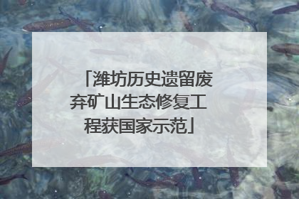 潍坊历史遗留废弃矿山生态修复工程获国家示范