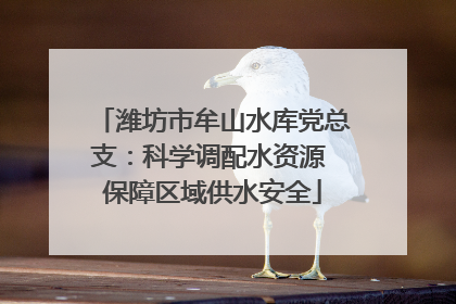 潍坊市牟山水库党总支：科学调配水资源 保障区域供水安全