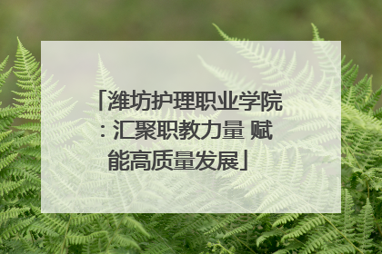 潍坊护理职业学院：汇聚职教力量 赋能高质量发展