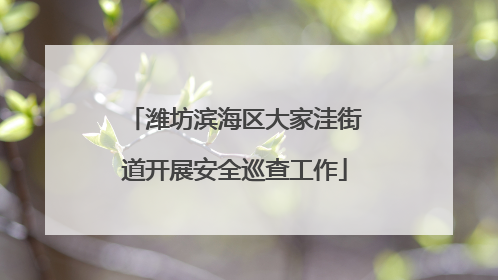 潍坊滨海区大家洼街道开展安全巡查工作