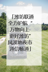 潍坊联通全力护航“万物向上·更好潍坊”凤溪地夜市通信畅通