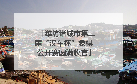 潍坊诸城市第二届“汉车杯”象棋公开赛圆满收官
