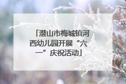 潜山市梅城镇河西幼儿园开展“六一”庆祝活动