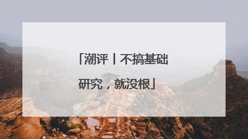 潮评丨不搞基础研究，就没根