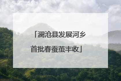 澜沧县发展河乡首批春蚕茧丰收