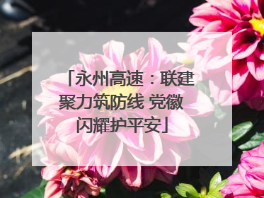 永州高速：联建聚力筑防线 党徽闪耀护平安