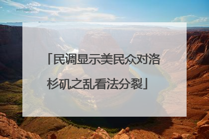 民调显示美民众对洛杉矶之乱看法分裂