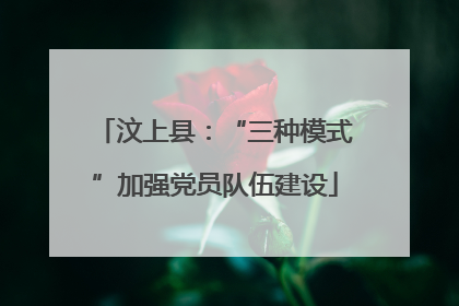 汶上县：“三种模式”加强党员队伍建设