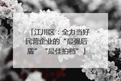 江川区：全力当好民营企业的“最强后盾”“最佳拍档”