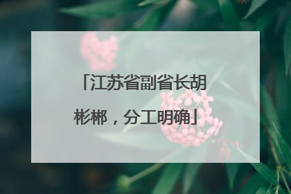 江苏省副省长胡彬郴，分工明确
