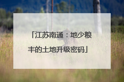 江苏南通：地少粮丰的土地升级密码