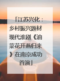 江苏兴化：乡村振兴题材现代淮剧《油菜花开燕归来》在南京成功首演