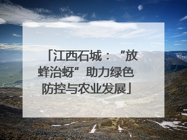江西石城：“放蜂治蚜”助力绿色防控与农业发展