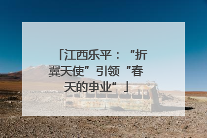 江西乐平：“折翼天使”引领“春天的事业”