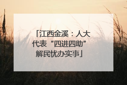 江西金溪：人大代表“四进四助”解民忧办实事