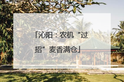 沁阳：农机“过招”麦香满仓