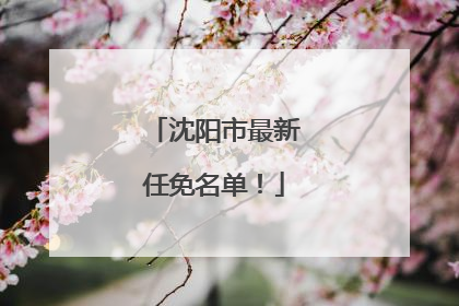沈阳市最新任免名单！