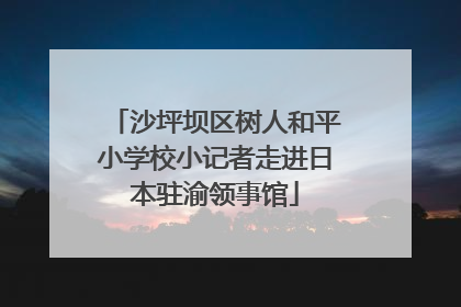 沙坪坝区树人和平小学校小记者走进日本驻渝领事馆