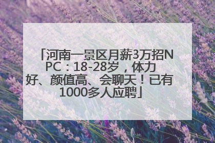 河南一景区月薪3万招NPC：18-28岁，体力好、颜值高、会聊天！已有1000多人应聘