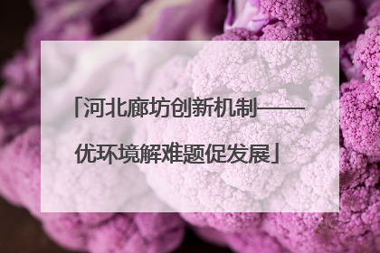 河北廊坊创新机制——优环境解难题促发展