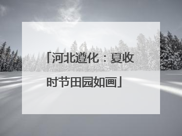 河北遵化：夏收时节田园如画