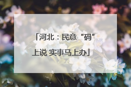 河北：民意“码”上说 实事马上办
