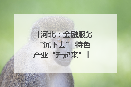 河北：金融服务“沉下去” 特色产业“升起来”