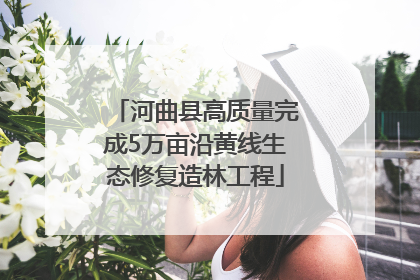河曲县高质量完成5万亩沿黄线生态修复造林工程