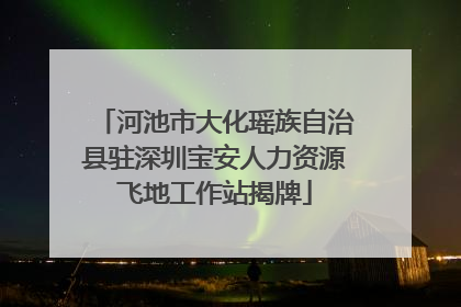 河池市大化瑶族自治县驻深圳宝安人力资源飞地工作站揭牌