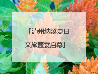 泸州纳溪夏日文旅盛宴启幕