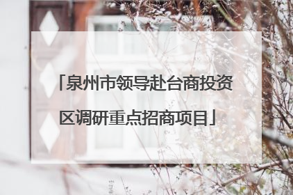 泉州市领导赴台商投资区调研重点招商项目