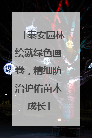 泰安园林绘就绿色画卷，精细防治护佑苗木成长