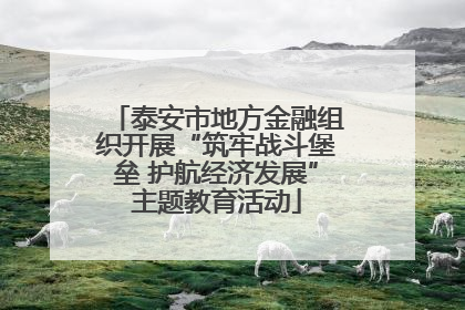 泰安市地方金融组织开展“筑牢战斗堡垒 护航经济发展”主题教育活动