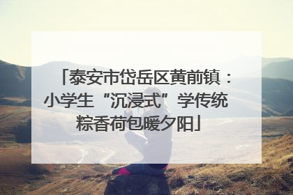 泰安市岱岳区黄前镇：小学生“沉浸式”学传统 粽香荷包暖夕阳