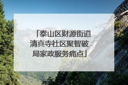泰山区财源街道清真寺社区聚智破局家政服务痛点