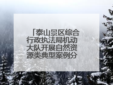 泰山景区综合行政执法局机动大队开展自然资源类典型案例分析交流活动