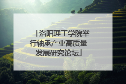 洛阳理工学院举行轴承产业高质量发展研究论坛