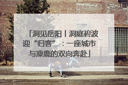洞见岳阳丨洞庭碧波迎“归客”：一座城市与麋鹿的双向奔赴
