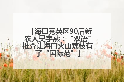 海口秀英区90后新农人吴宇燕：“双语”推介让海口火山荔枝有了“国际范”