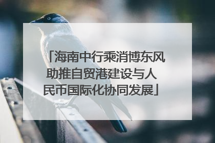 海南中行乘消博东风 助推自贸港建设与人民币国际化协同发展