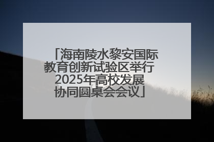 海南陵水黎安国际教育创新试验区举行2025年高校发展协同圆桌会会议