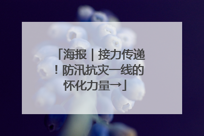 海报｜接力传递！防汛抗灾一线的怀化力量→