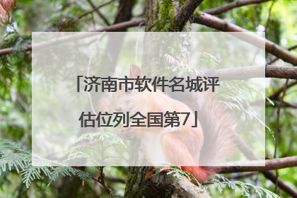 济南市软件名城评估位列全国第7