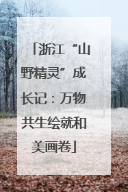 浙江“山野精灵”成长记：万物共生绘就和美画卷